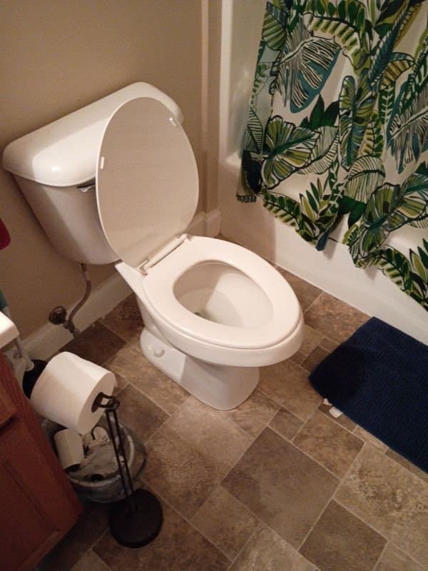 Nasty dumb pig licks toilet, aunts panties and scrubs holes with toothpaste and toilet brush