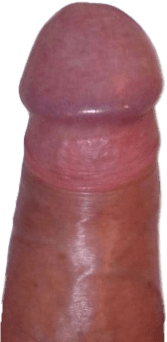 itwasfungay HOMOSEXUAL