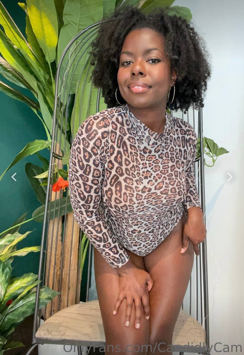 Click to view full size Bernie Mac show