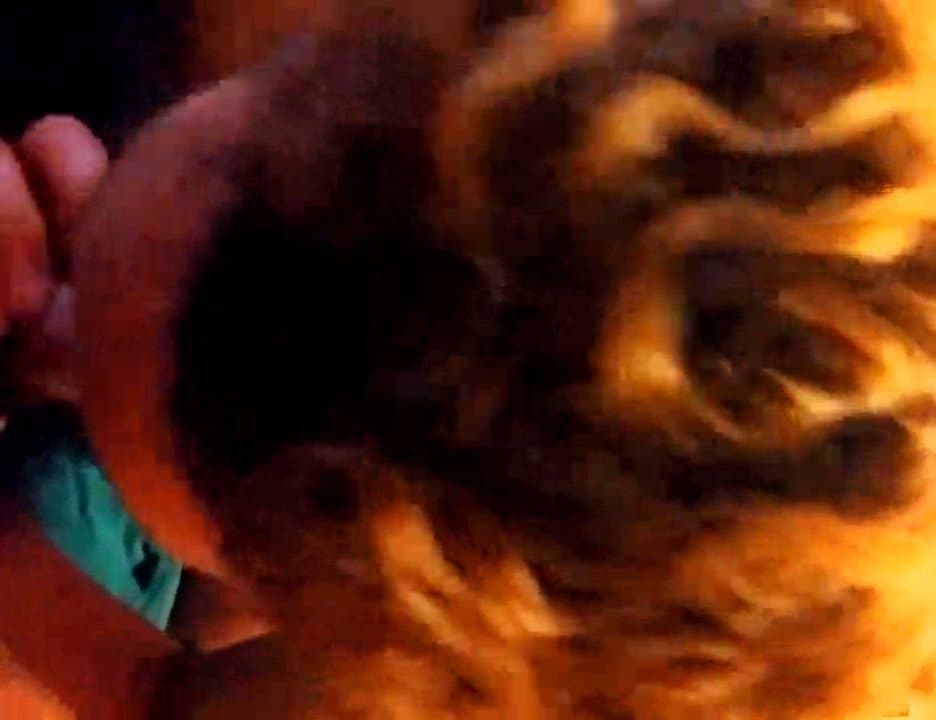 Wife blowjob horny wife sucking my cock