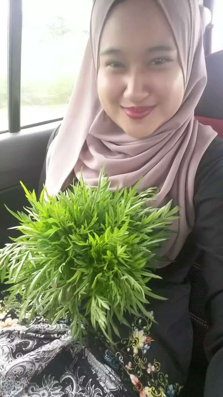 hijab muslim indonesia malay colmek masturbation gorgeous milf cantik