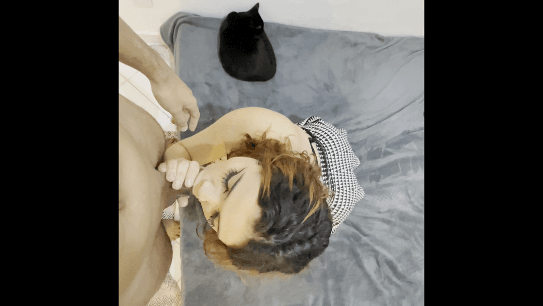 id#4629426 - Exclusivo$