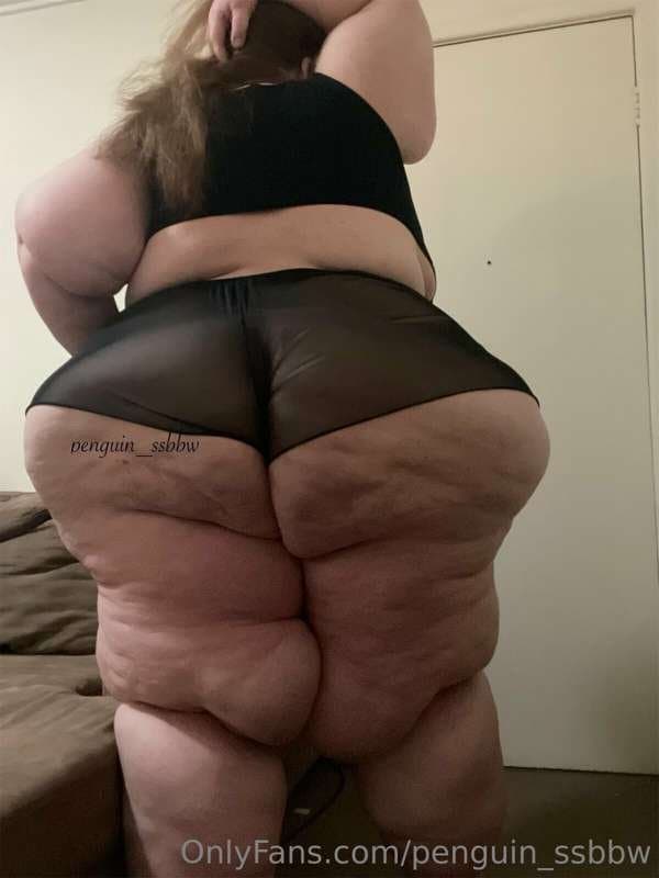 ssbbw penguin