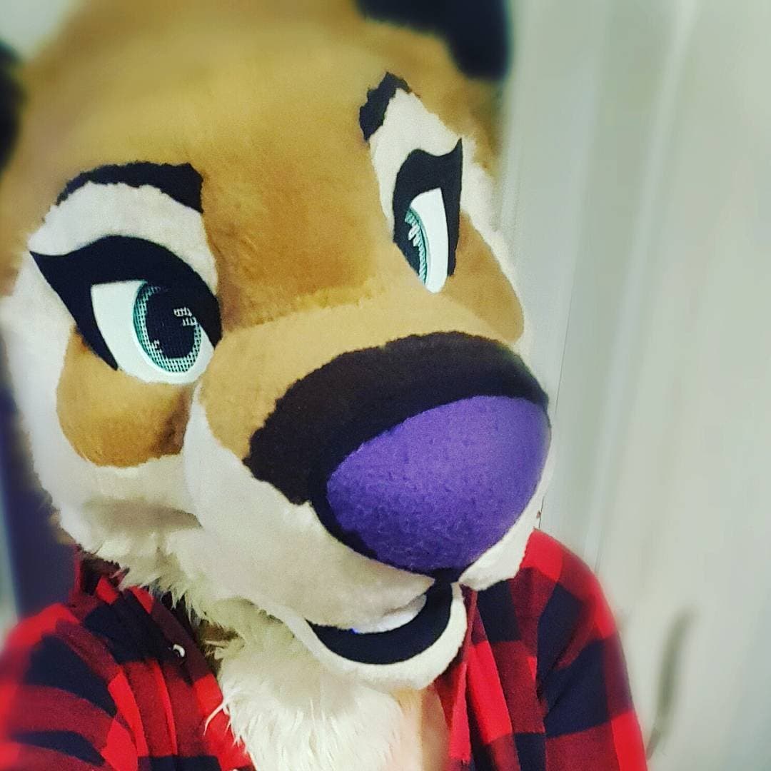 [FURRY] ?? infamous shiba/deer murrsuiter sex tapes (fřëÿäśħîbê)