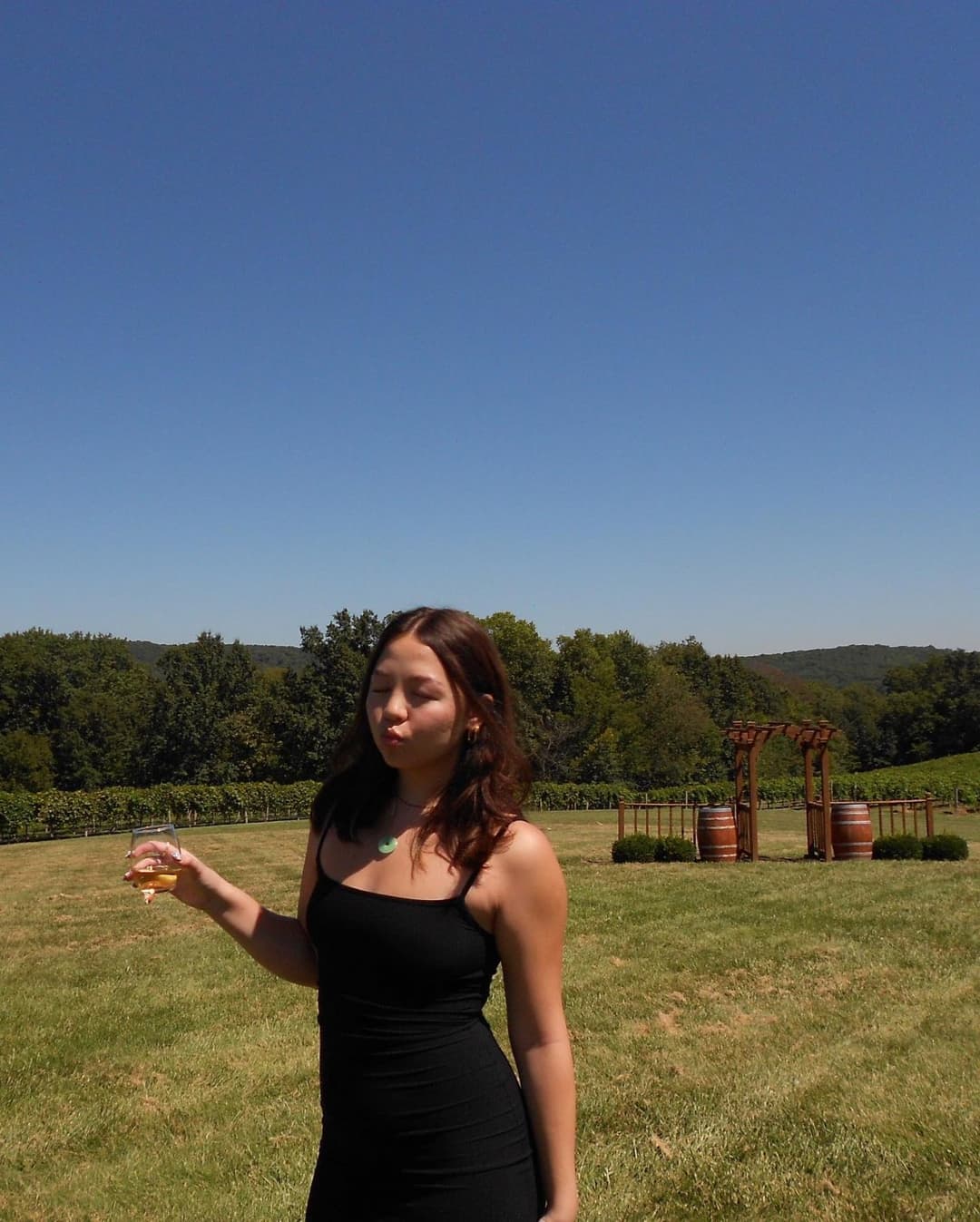 Click to view full size Regan