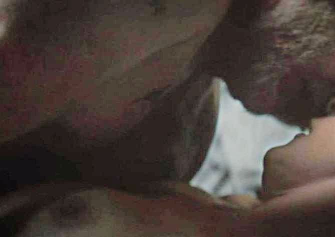 Kate Walsh is One Beautiful Milf with a Banging Body & Hot Ass That Makes For A Great CumTarget ??