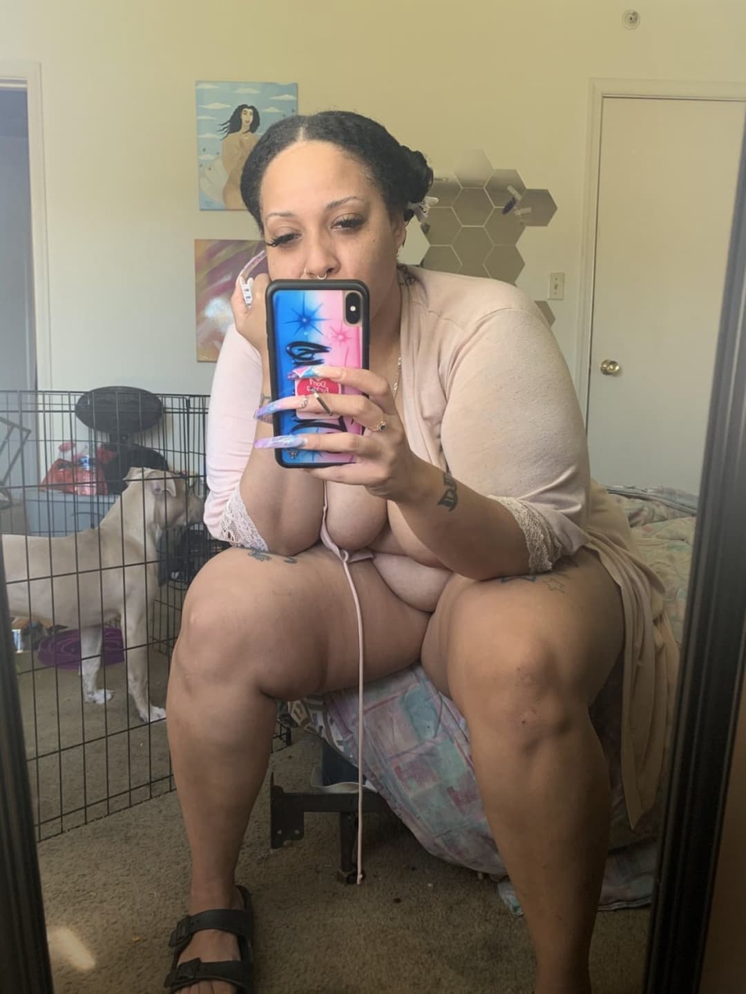 Click to view full size Nova