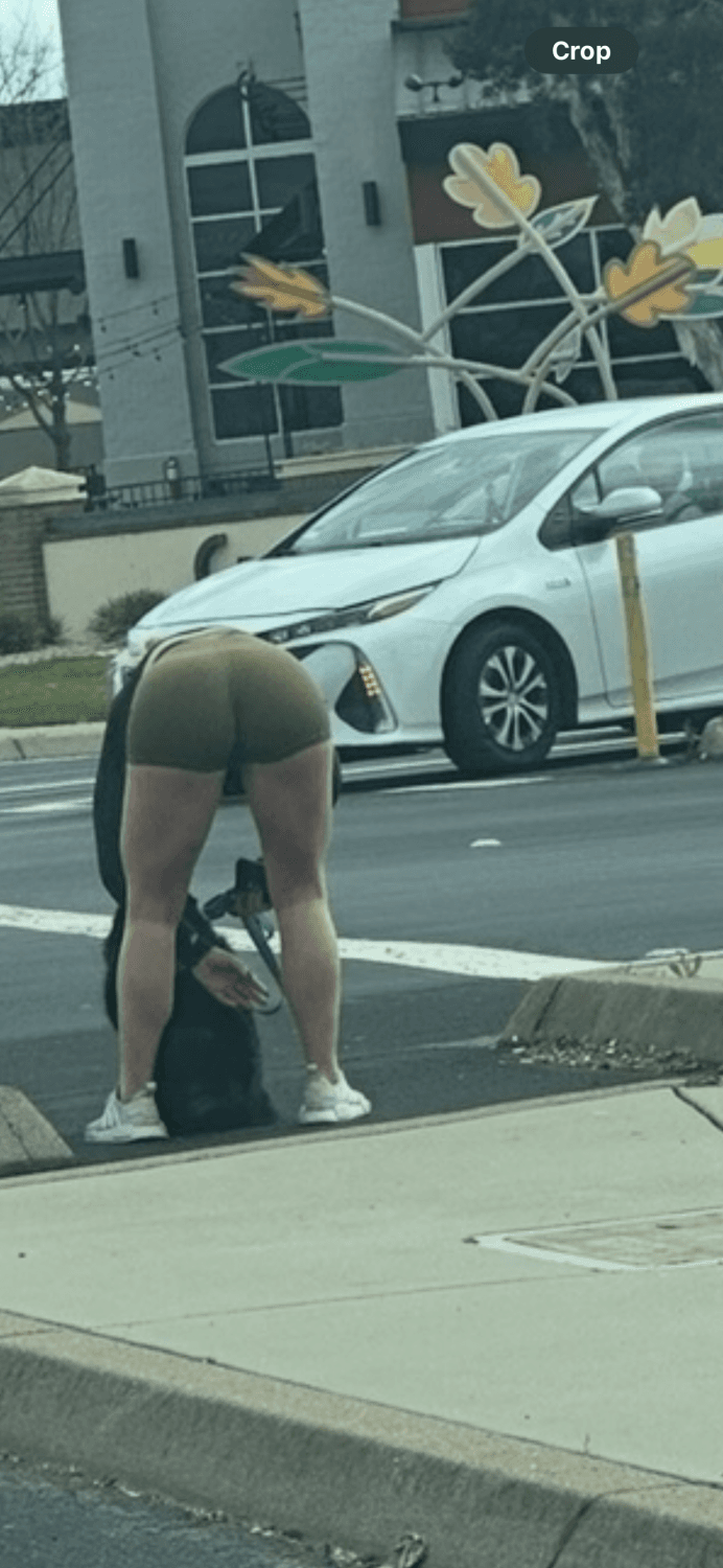 California snow bunny distracting drivers?❄️