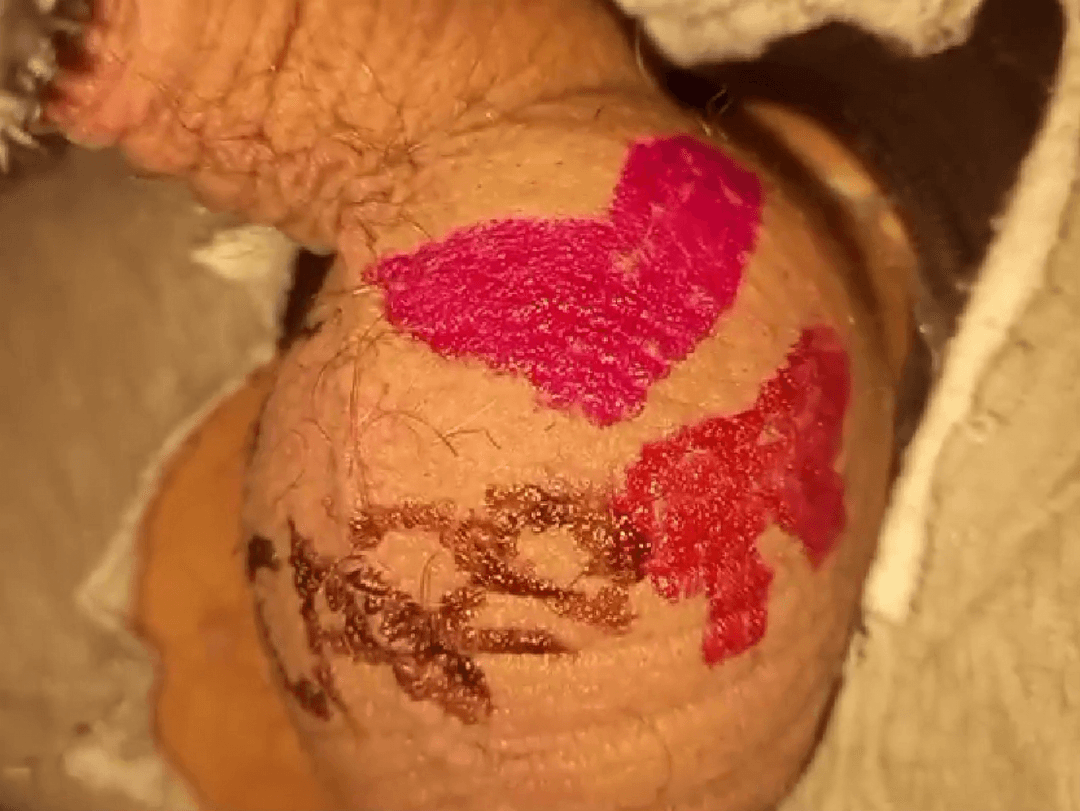 Robby – or Ventiboy