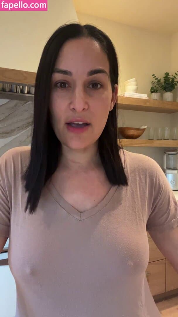 Nikki bella Brie bella