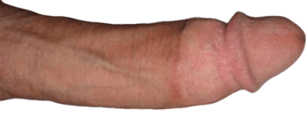 itwasfungay HOMOSEXUAL