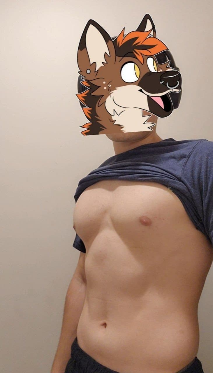 [FURRY] hot furry muscular femboy twink (ďûmâjâğ/ďümâpûmǎ)