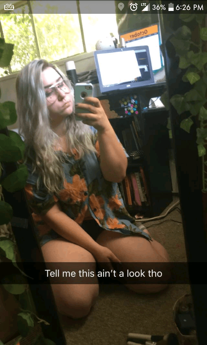 pig dumb ugly disgrace