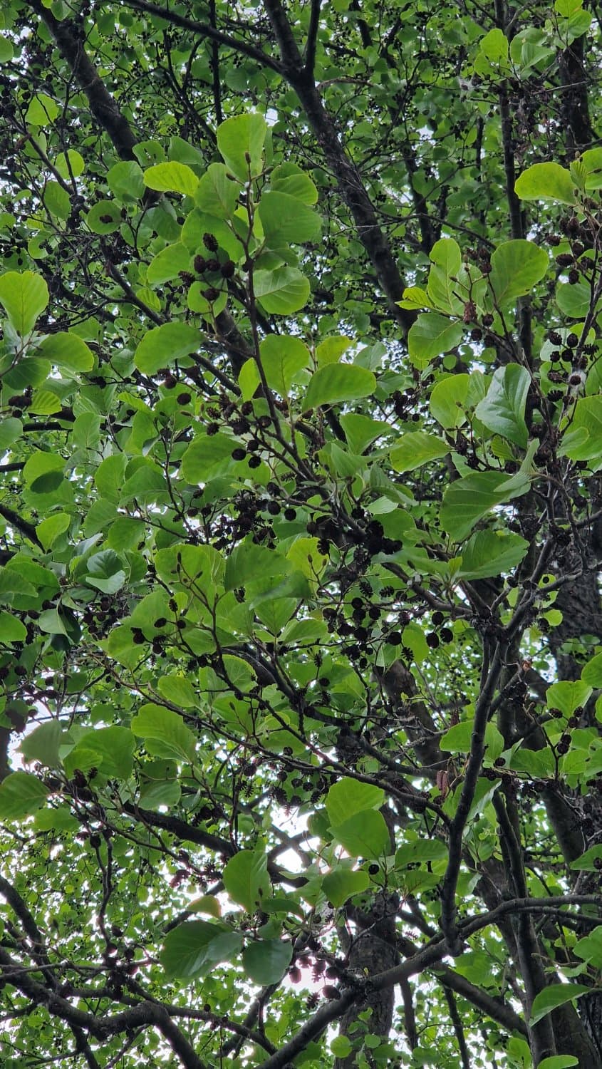 Amazing high school teacher