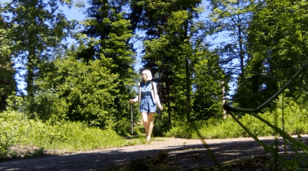 Granny CD, Hiking, Risky Wanking, Denim