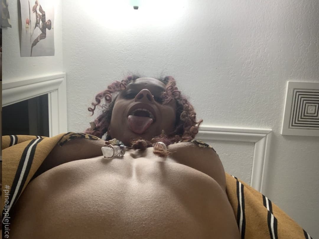 Click to view full size PINEAPPLE EXPRESS