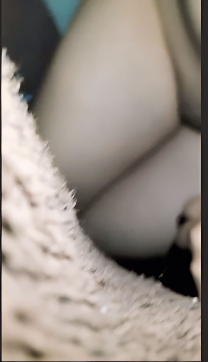 Puta mexicana con la vagina bien abierta