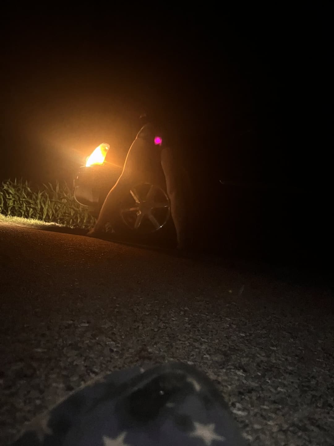 CD seneca Illinois CHEAP real street hooker wants to be famous set up appt via text 630-410-9366