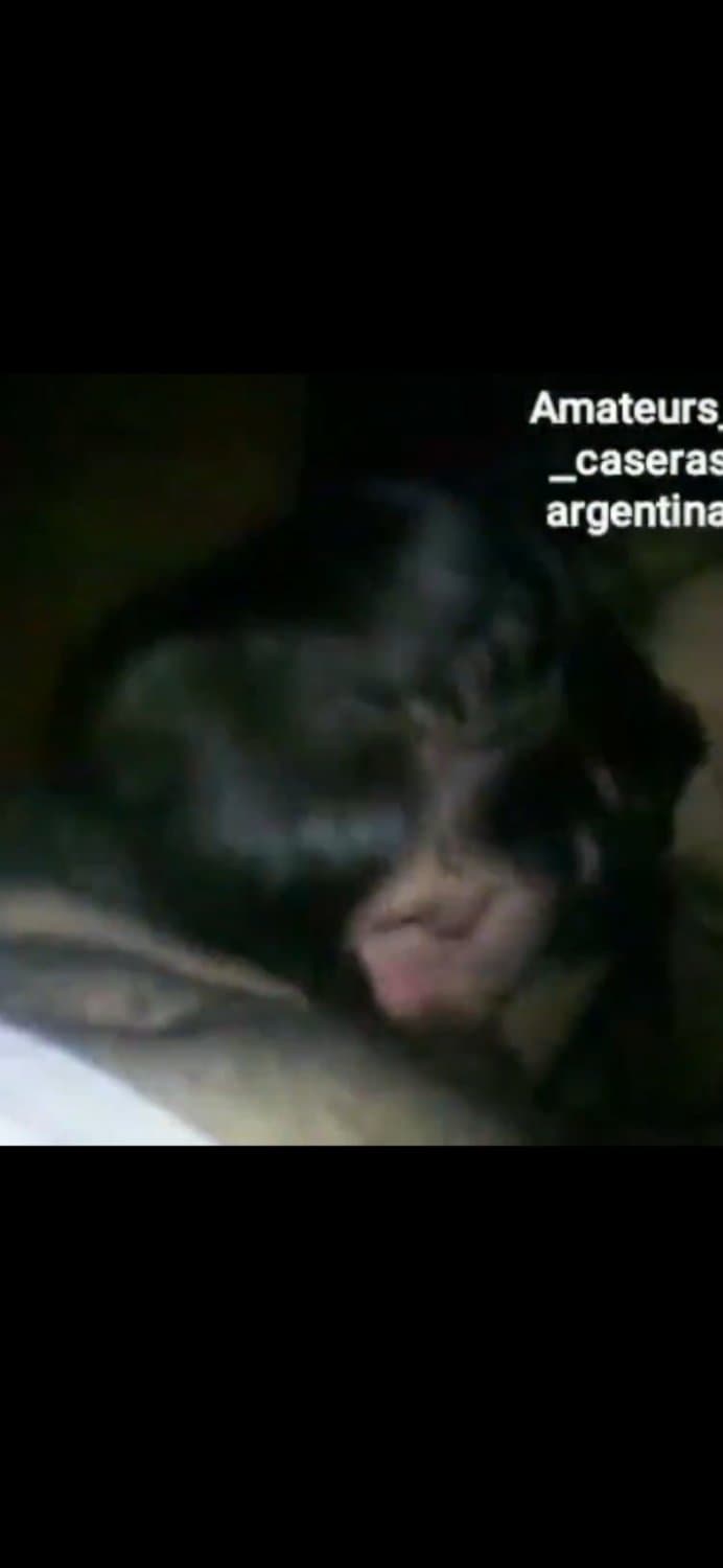 Donde si no? Aca!! Las buenas compilaciones de peteras argentinas