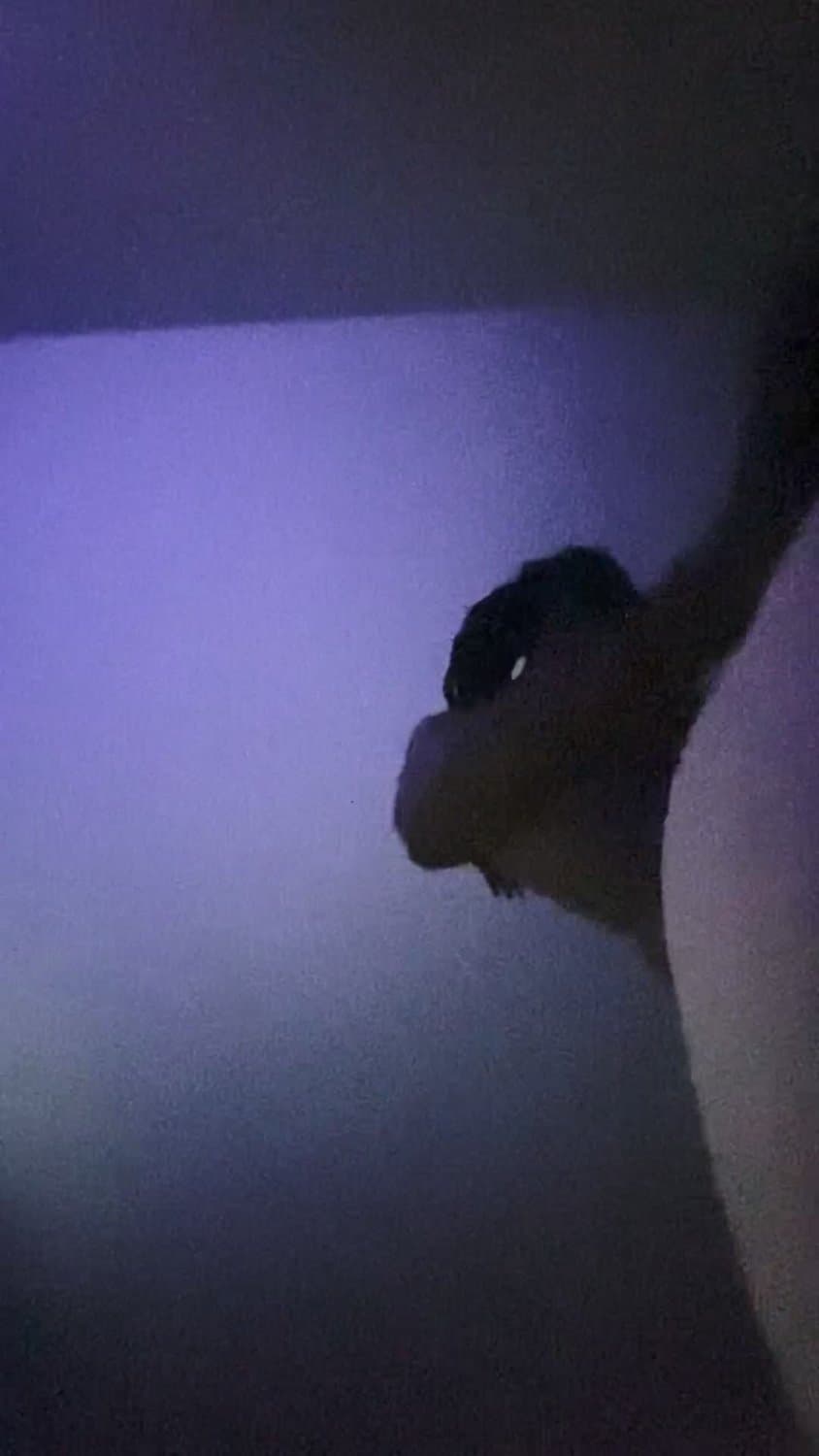 Somebody granny loves bbc