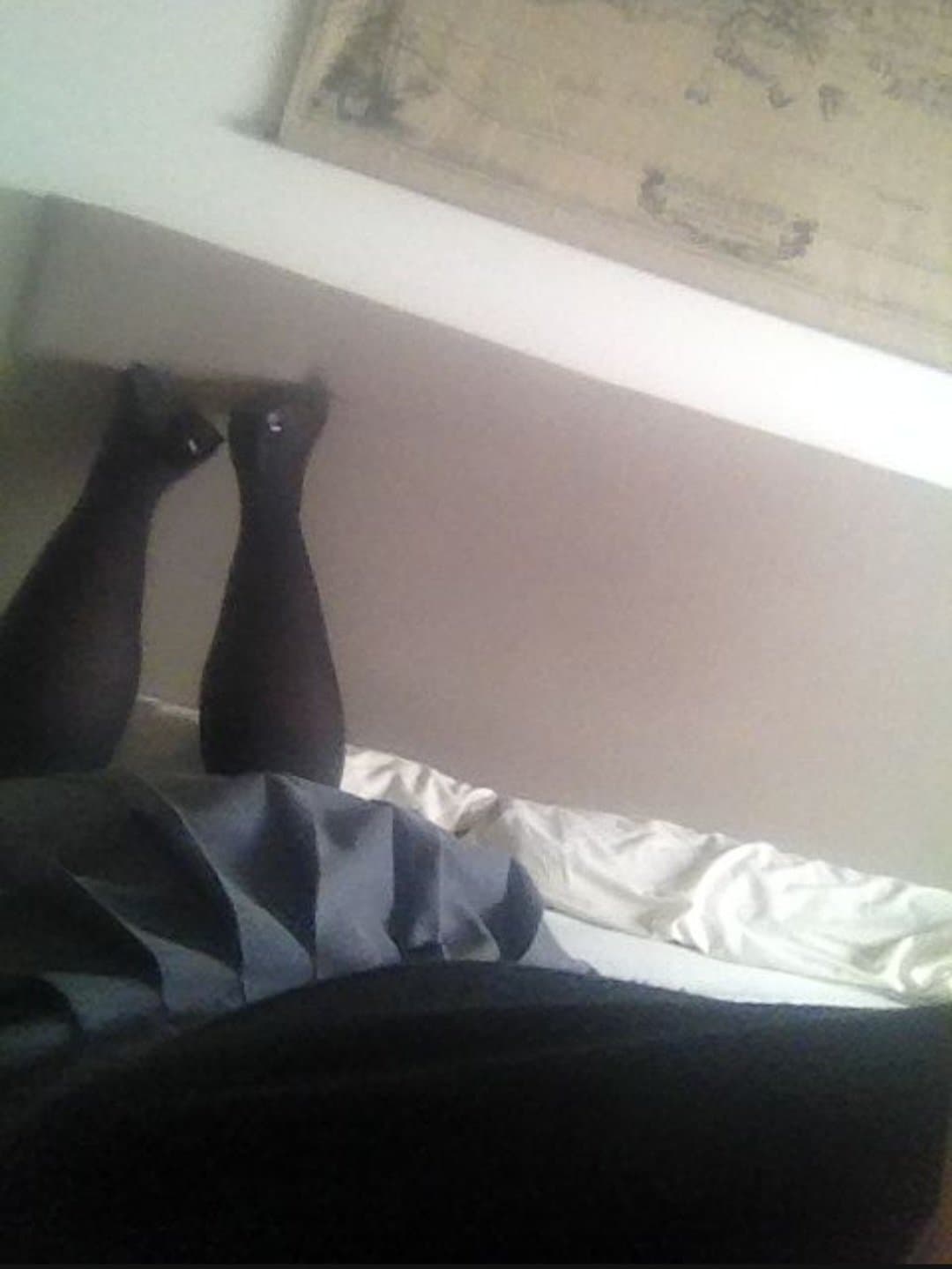 Sissy Brandi, the blackmailed pathetic dicked down bitch! Kik: fagskirtedforever1