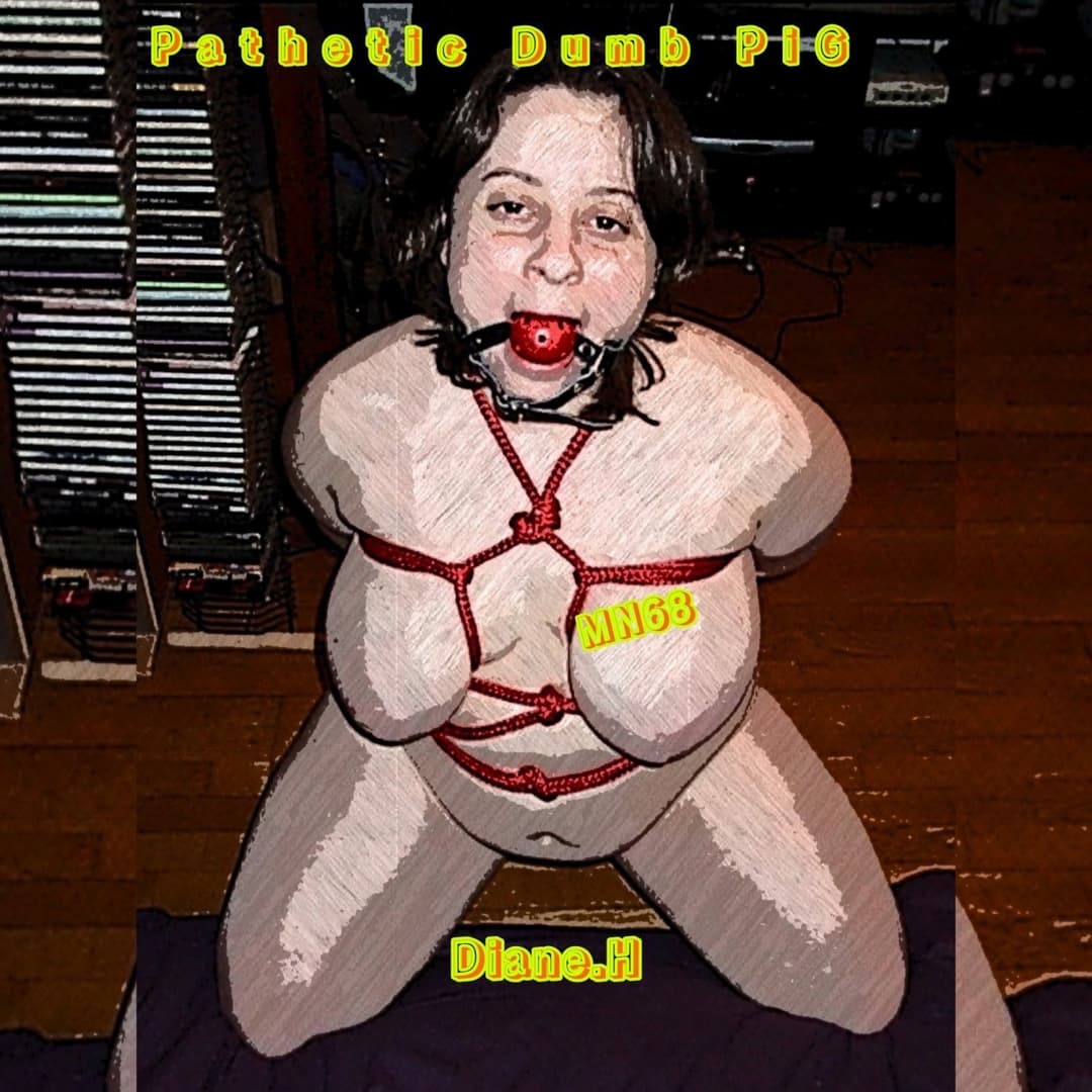 Diane Henrotte *MegaMIX*-#006