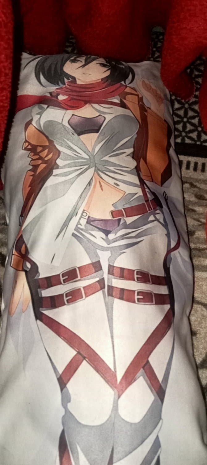Mikasa dakimakura            Please share
