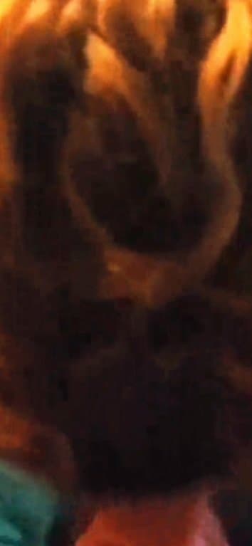 Wife amateur wife sucking cock