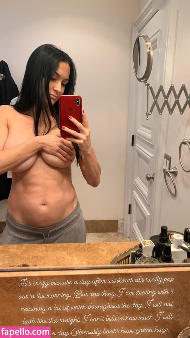 Nikki bella Brie bella