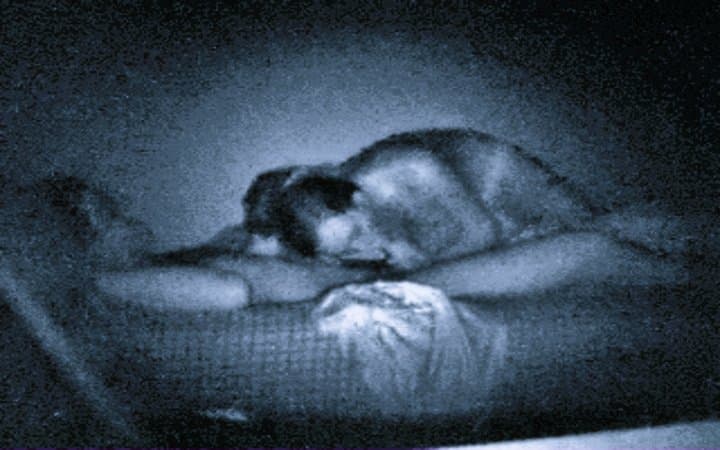 PERFECT ASS real Tinder bitch first date forced to deep throat first ever on NV Hidden Cam: FIT body