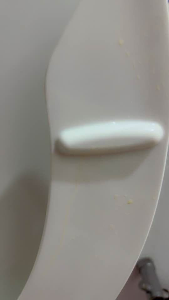 Dumb pig drinks toilet water and wedgies her tight spic pussy. Kik bullmaster999 to be next