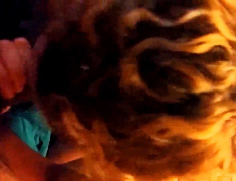 Click to view full size Horny amateur wife make blowjob...so horny