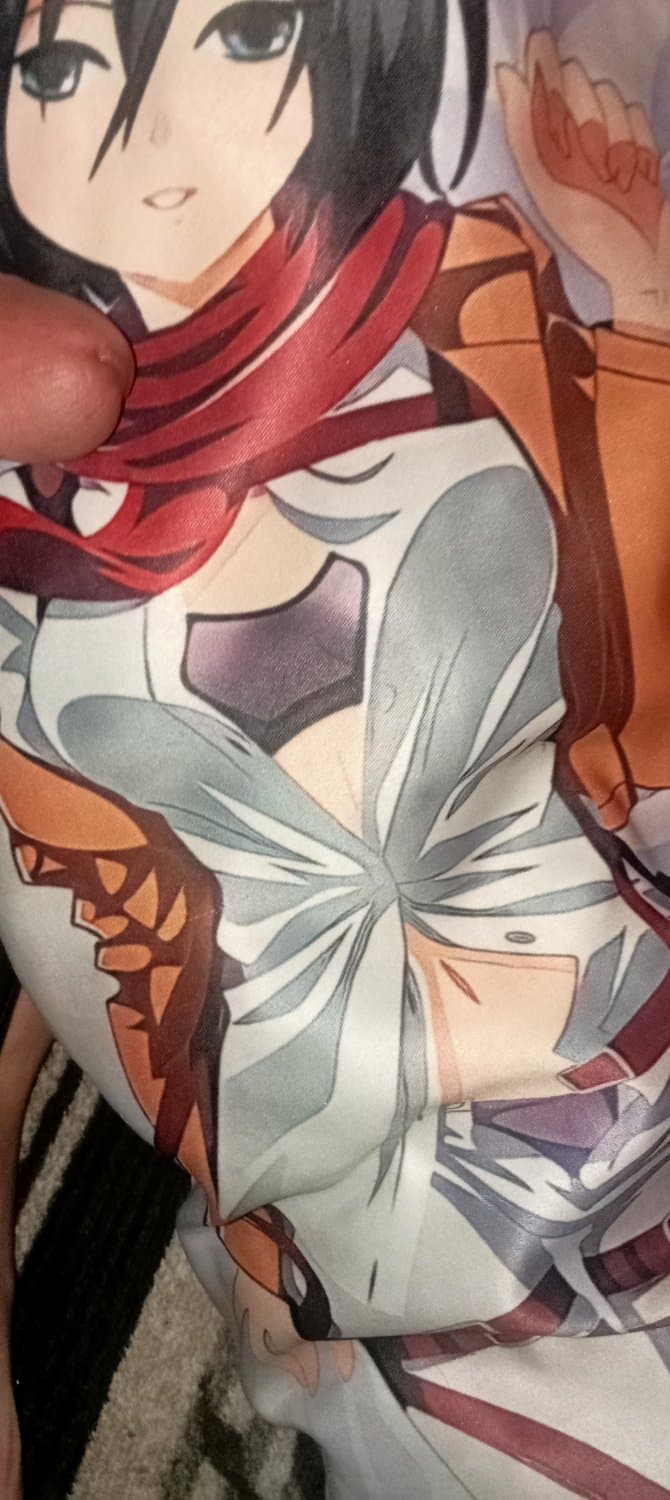 Mikasa dakimakura            Please share