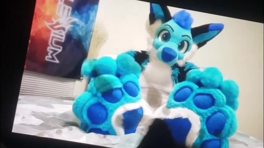 fursuit paws cum trib