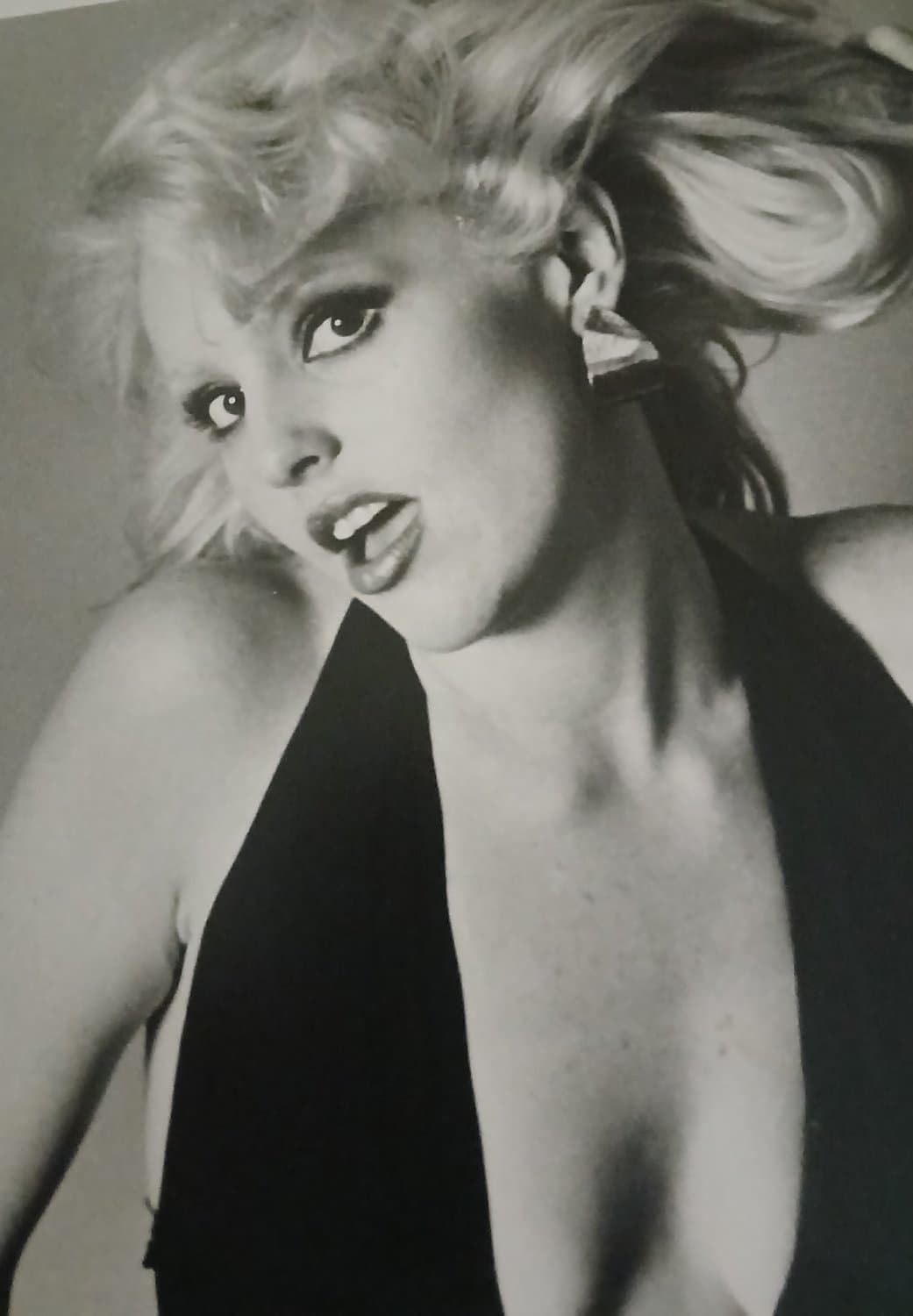 WEB FUCKIN WHORE CUNT SLAVE AUCTION CATALOG !