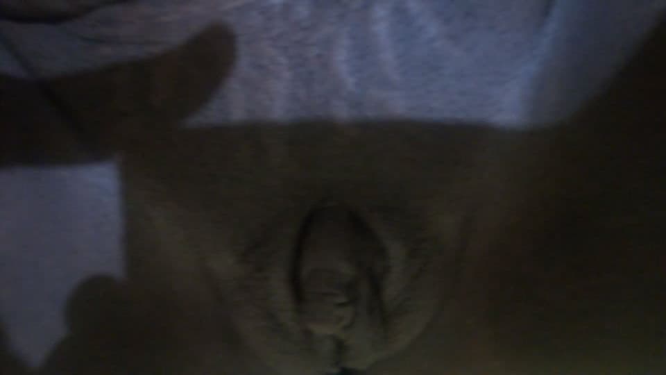 DOMINICANA - Anyara Gil