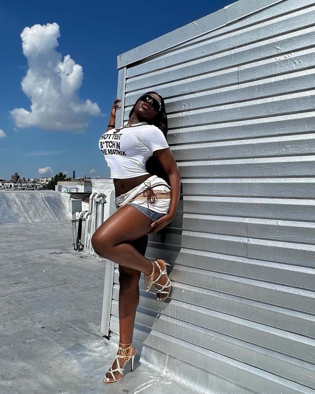 Dark Skinned Bimbo Barbie