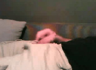 Cocks of Chatroulette (does anybody remember that)