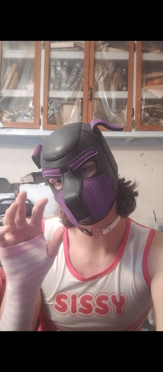 Daddys Pet Toy Artie