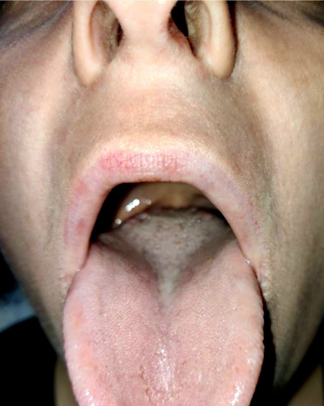 Diane Henrotte *MegaMIX*-#001