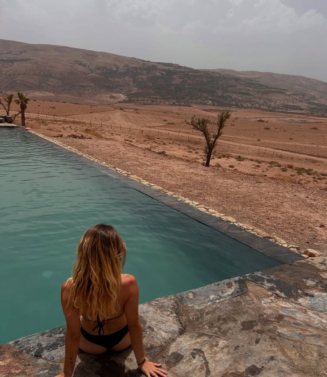 Chloé, grosse chienne française exposée