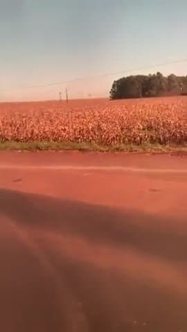 Mc Pipokinha fodendo e fumando maconha no carro PORTAL DA PUTARIA