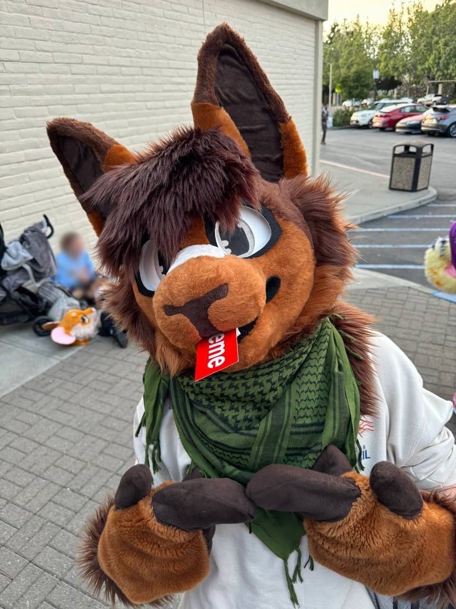 [FURRY] hot bi/pan furry femboy twink (žûřùźûķîìń/jëșśäbřêéďêř)