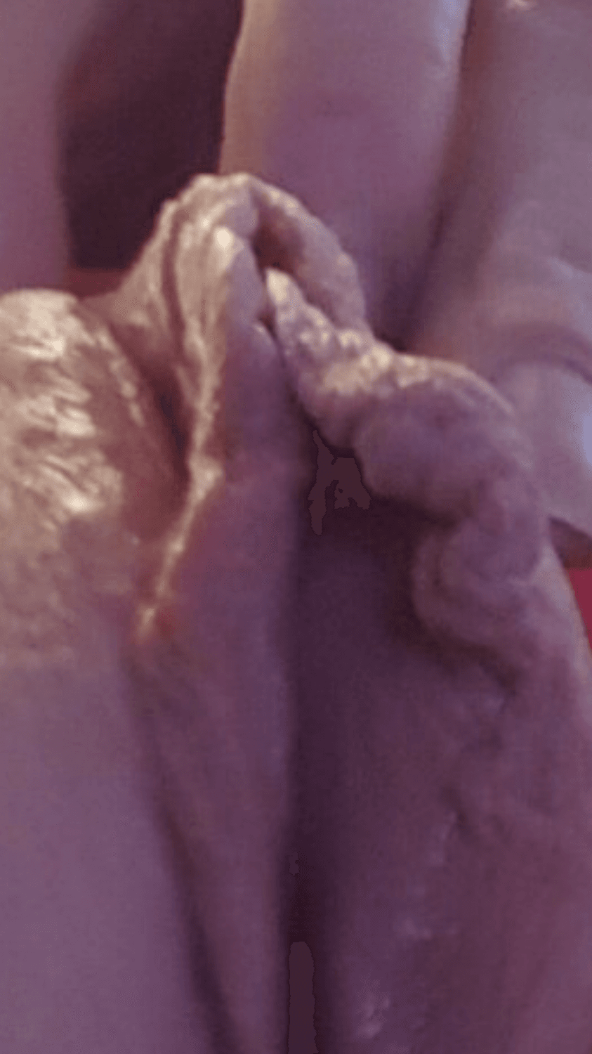 Ginger MILF shows her meaty cunt to her boyfriend. Meaty ?