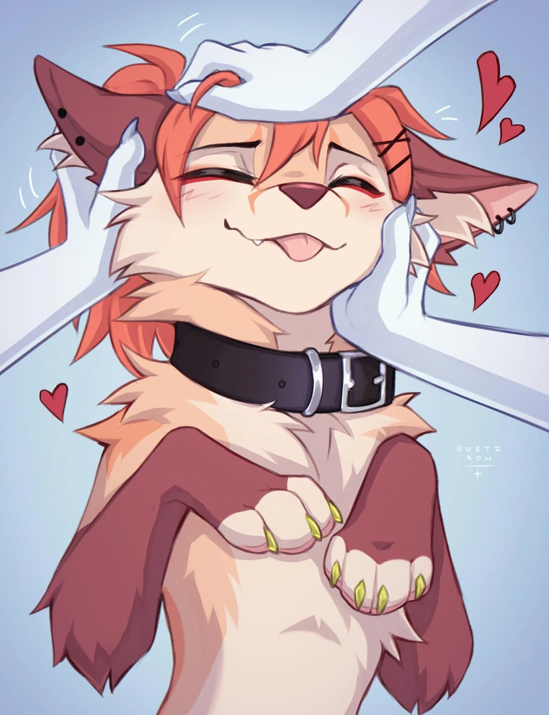 FURRY PAWS FURRY PAWS FURRY PAWS