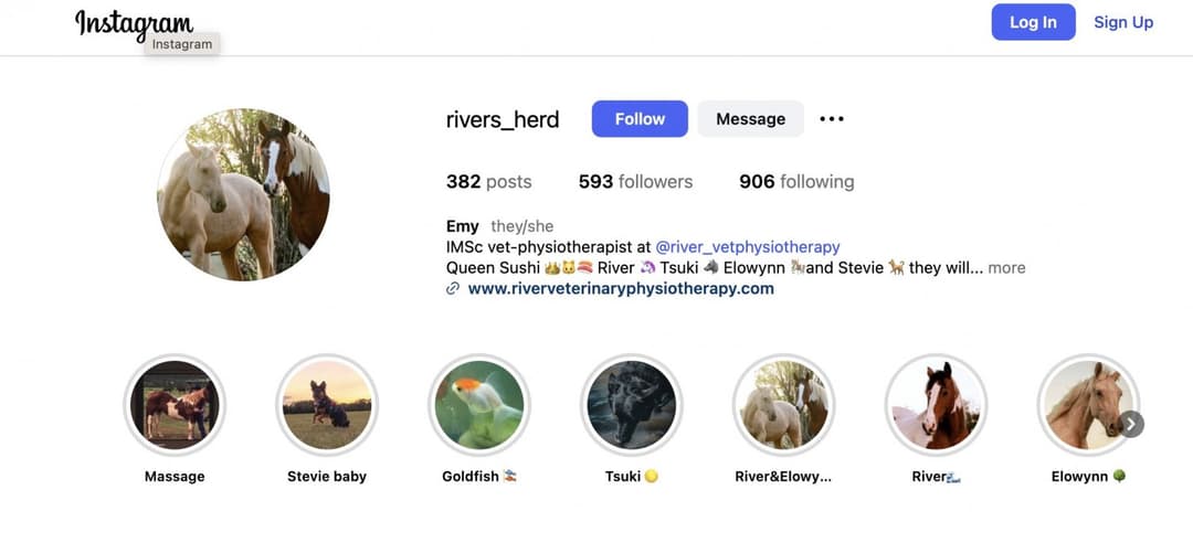 Emy Brunet Hansson: Veterinarian Butthole