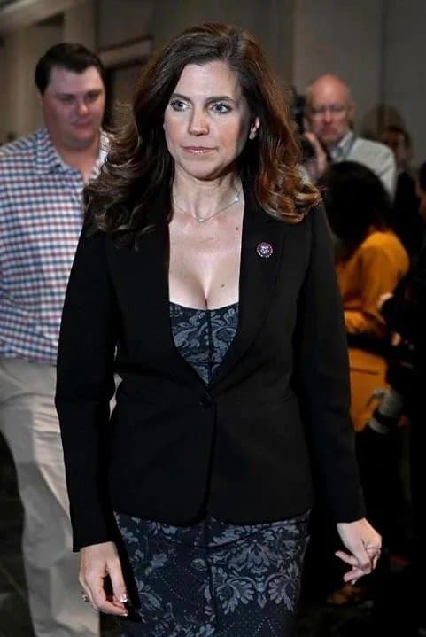 Nancy vs Nancy (Big Titty Conservative MILF vs Big Titty Liberal GILF)