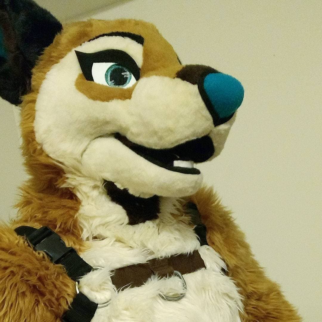 [FURRY] ?? infamous shiba/deer murrsuiter sex tapes (fřëÿäśħîbê)