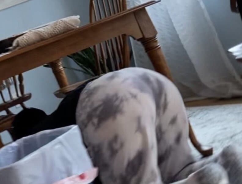 Mom of Two Beth (wwyd)