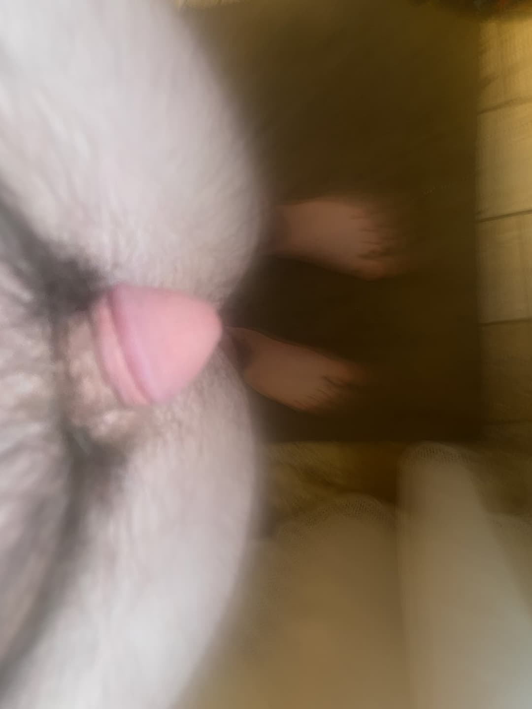 how small is too small